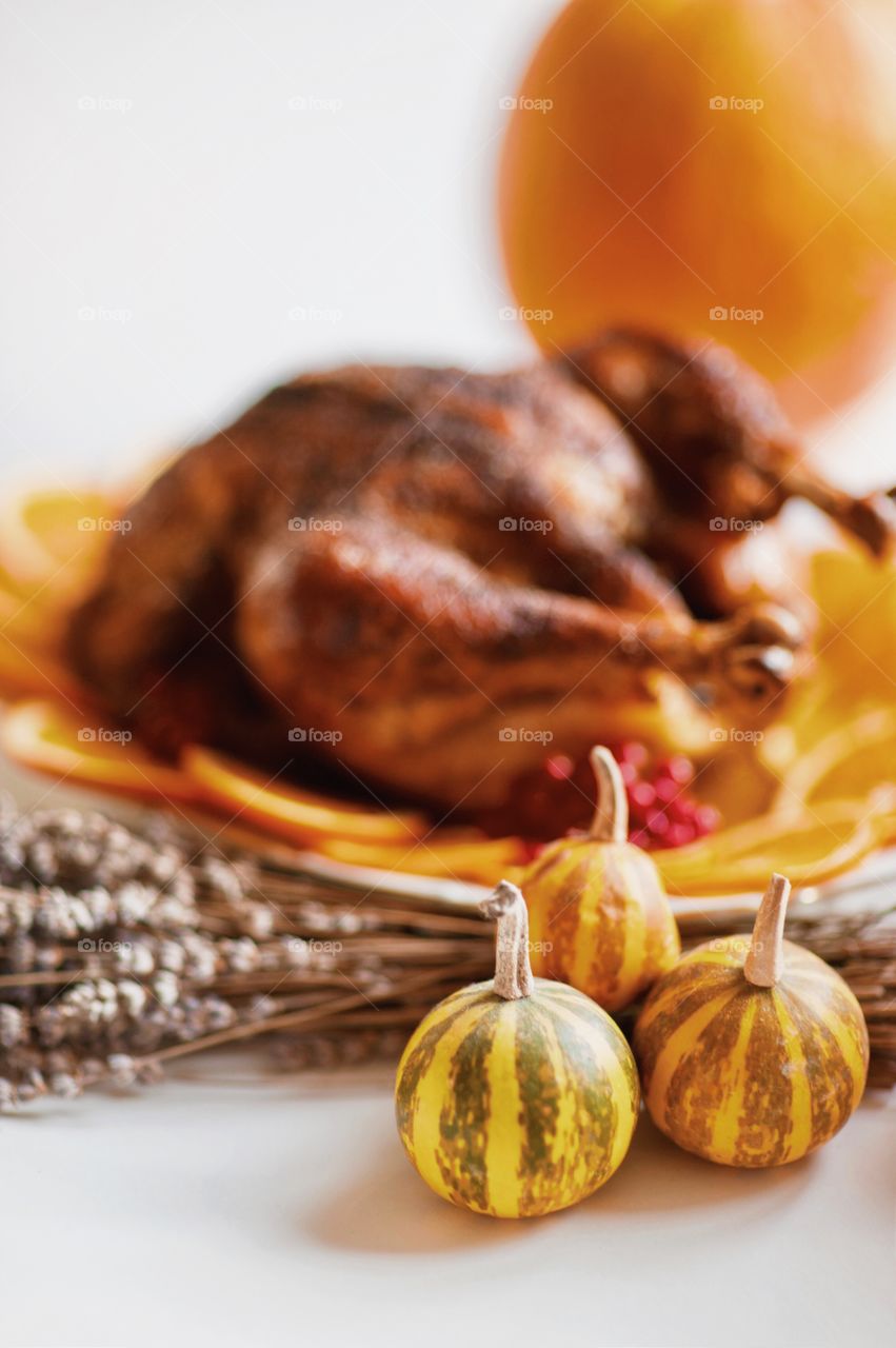 turkey, Thanksgiving, pumpkin, Thanksgiving day, Thanksgiving decor,