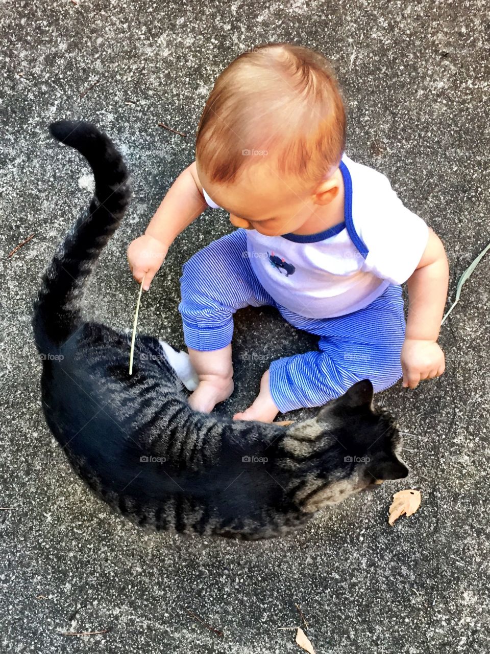 Boy and his cat