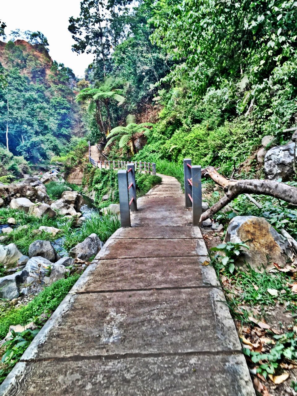 Natural Walkway. Walking towards Madakaripura Waterfall in Probolinggo,Indonesia