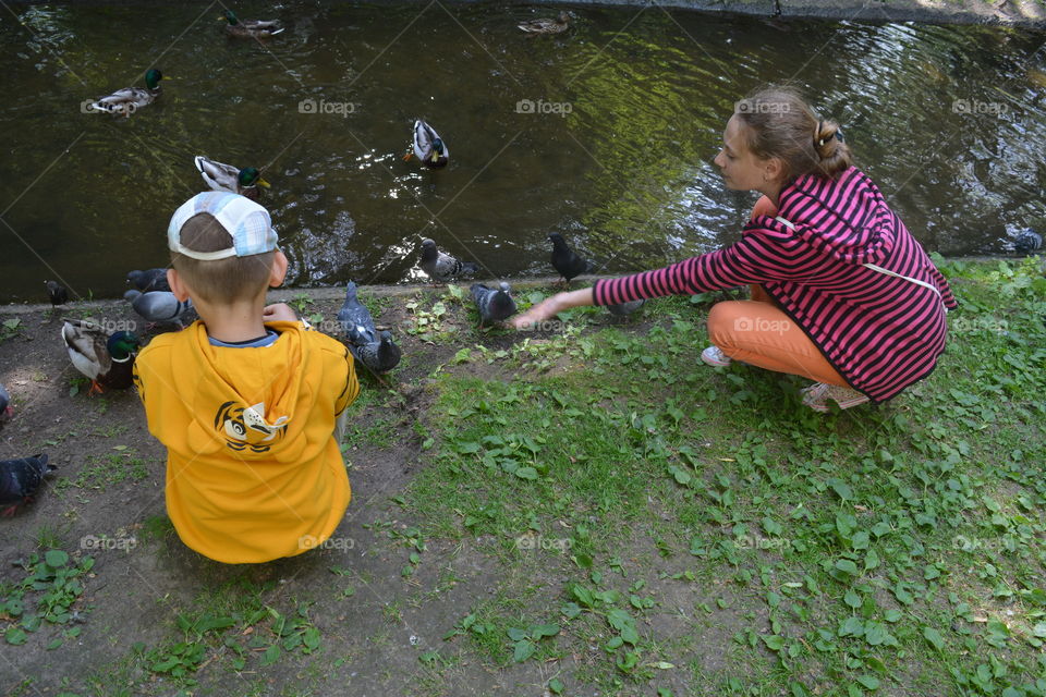 children and birds in the summer city park, family time