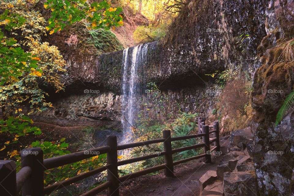 silver falls autumn