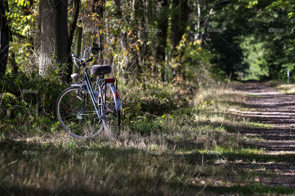A portrait of a bike next to a dirt road in a forest. A great day to go biking in the woods.