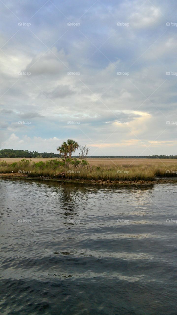 Ahh..The mangroves