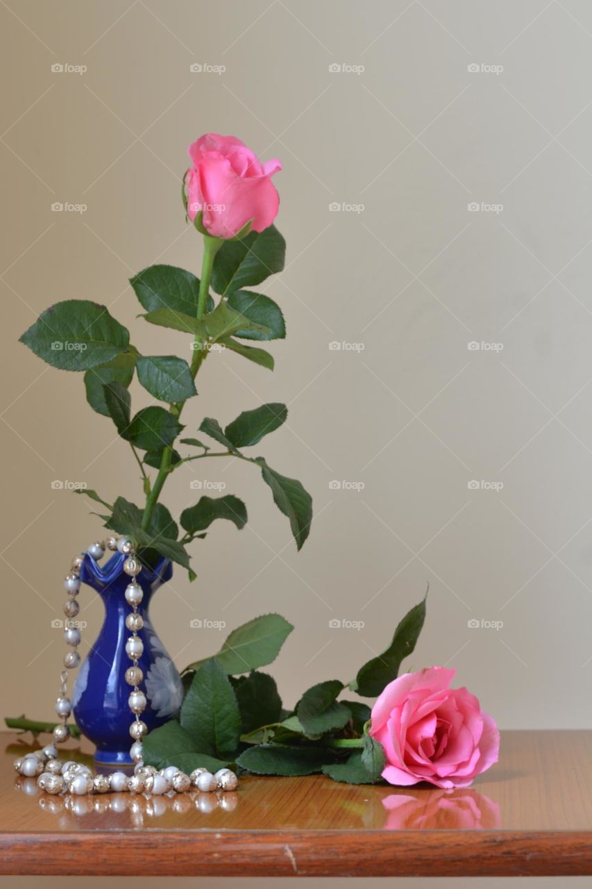 Pink rose symbolized the admiration, happiness and love