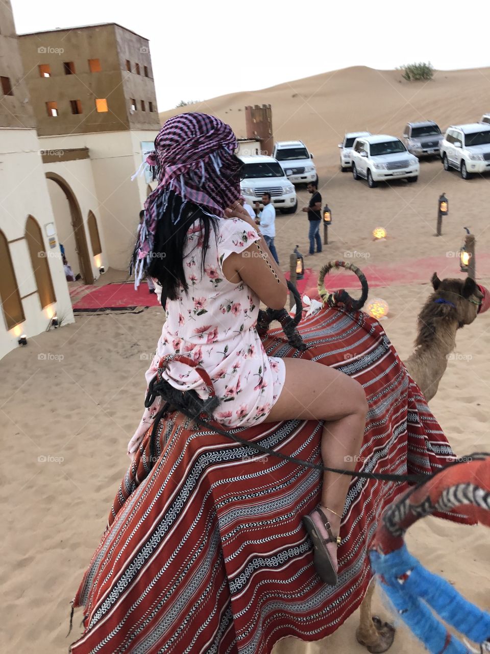 Camel power versus horse power. Dubai desert camel ride. Sand, heat, animals, pathfinder, cars 