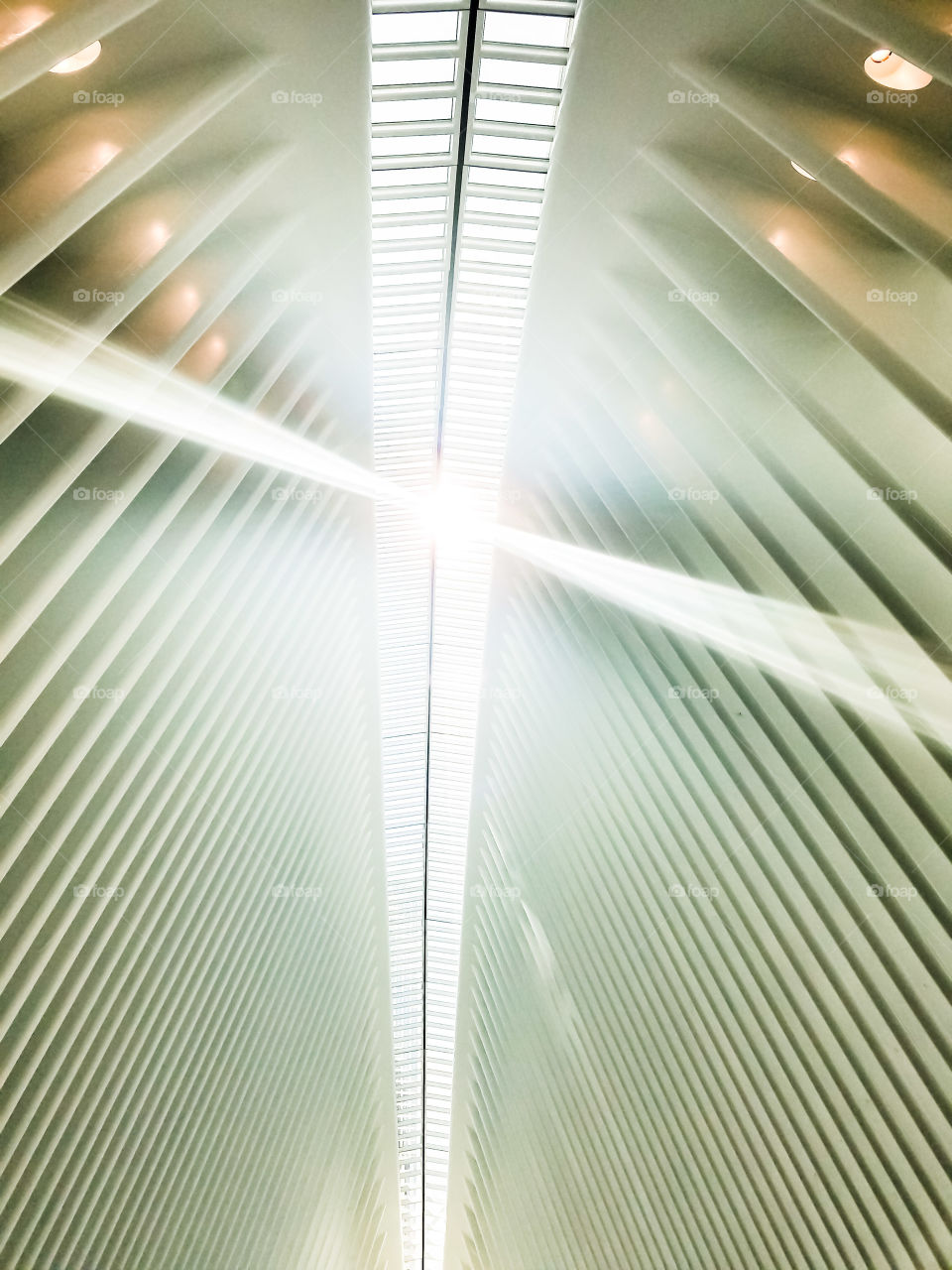 Calatrava's PATH station at the World Trade Centre