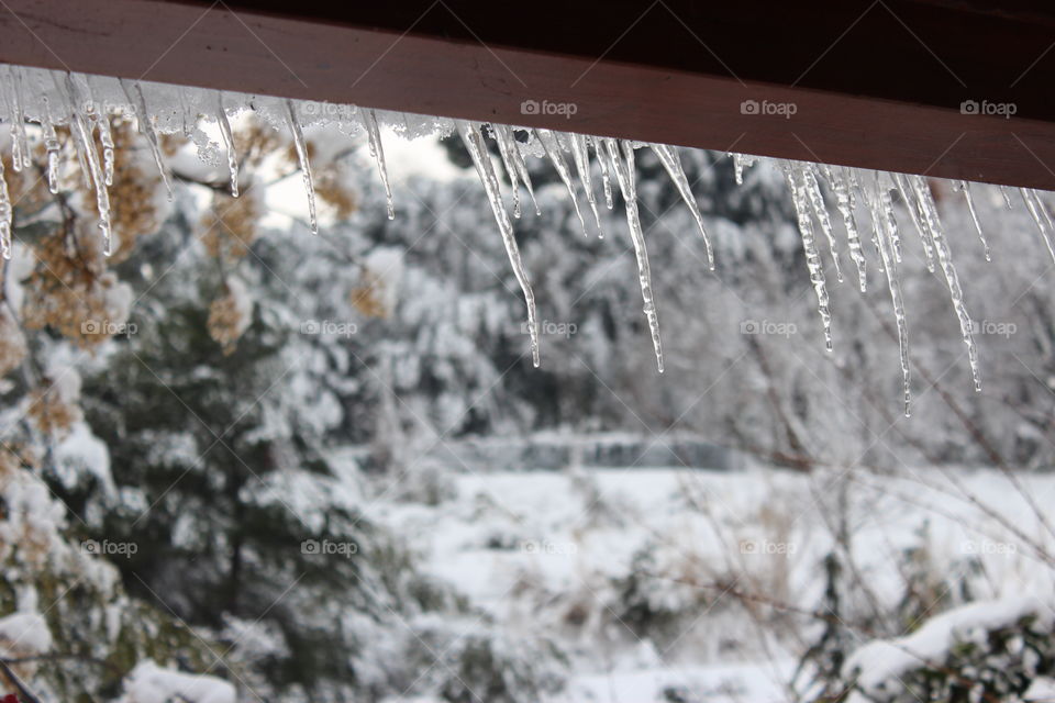 ice stalactite