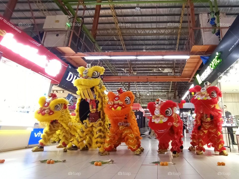 Chinese Lions dance