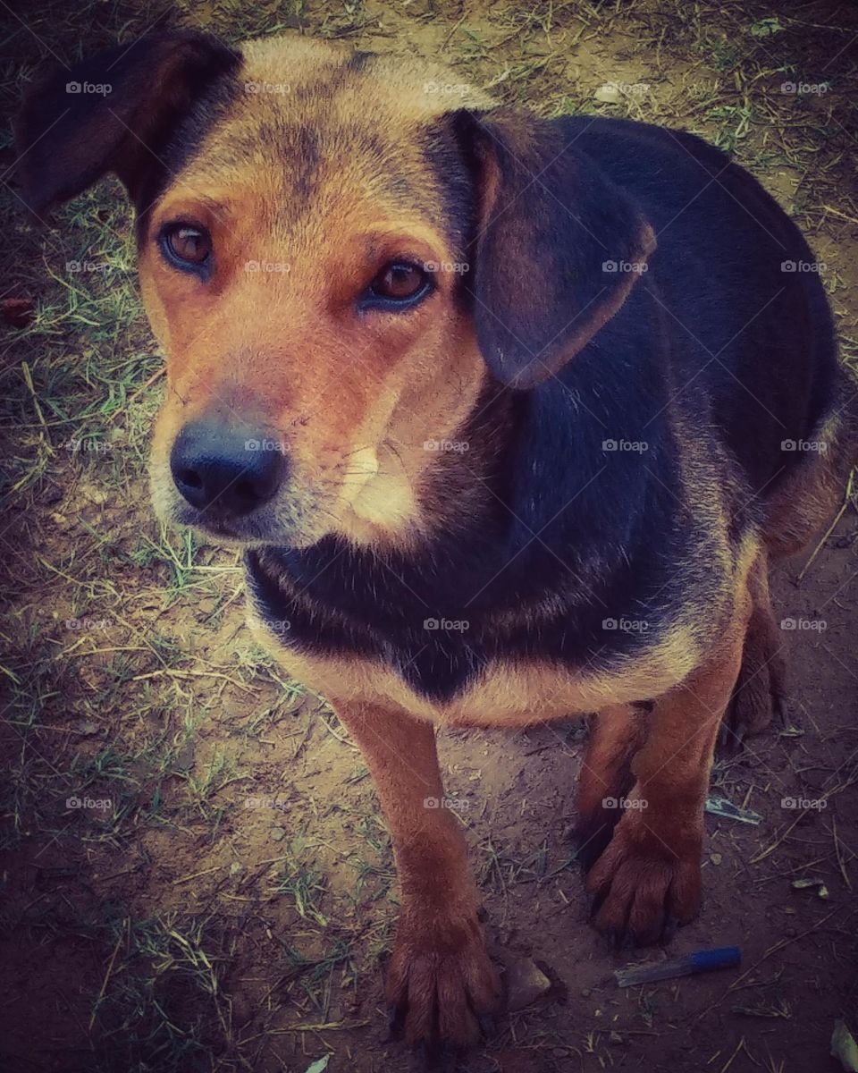 mobile series: portrait