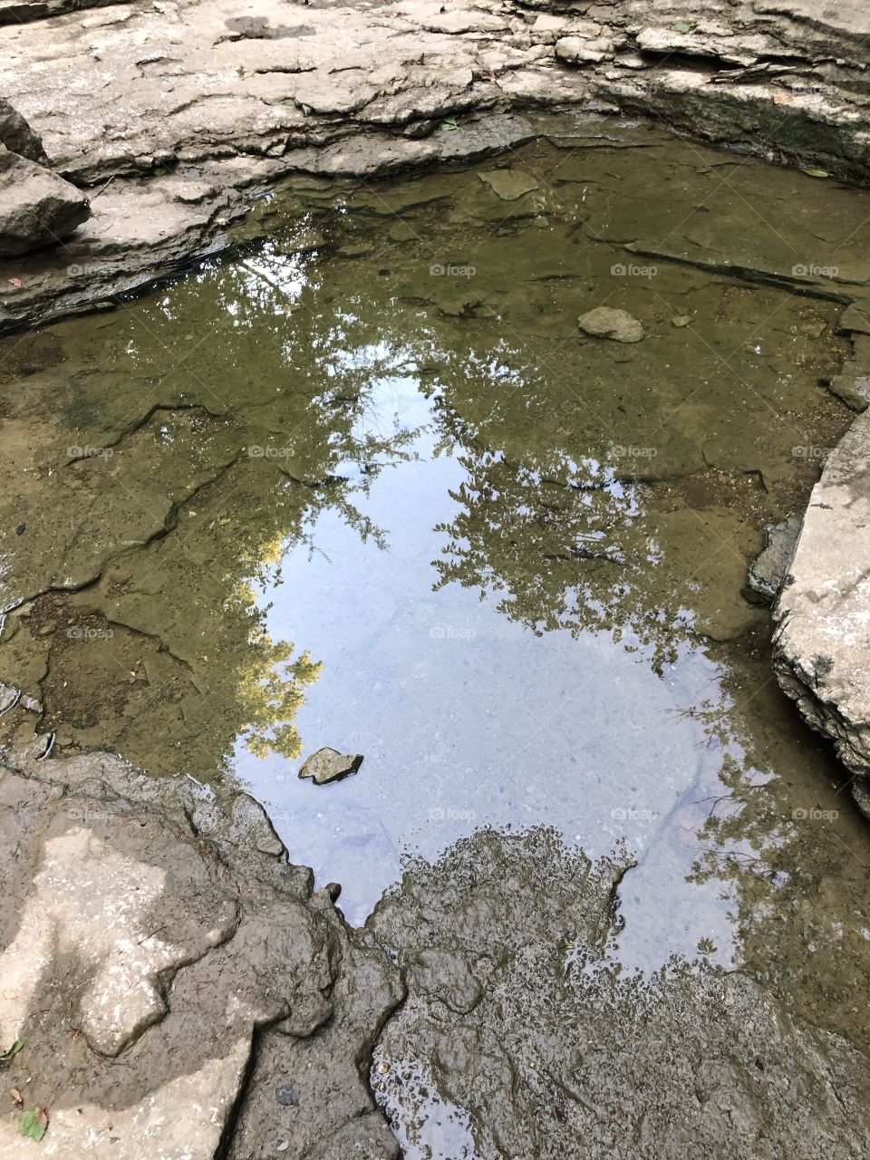 Reflection in the water