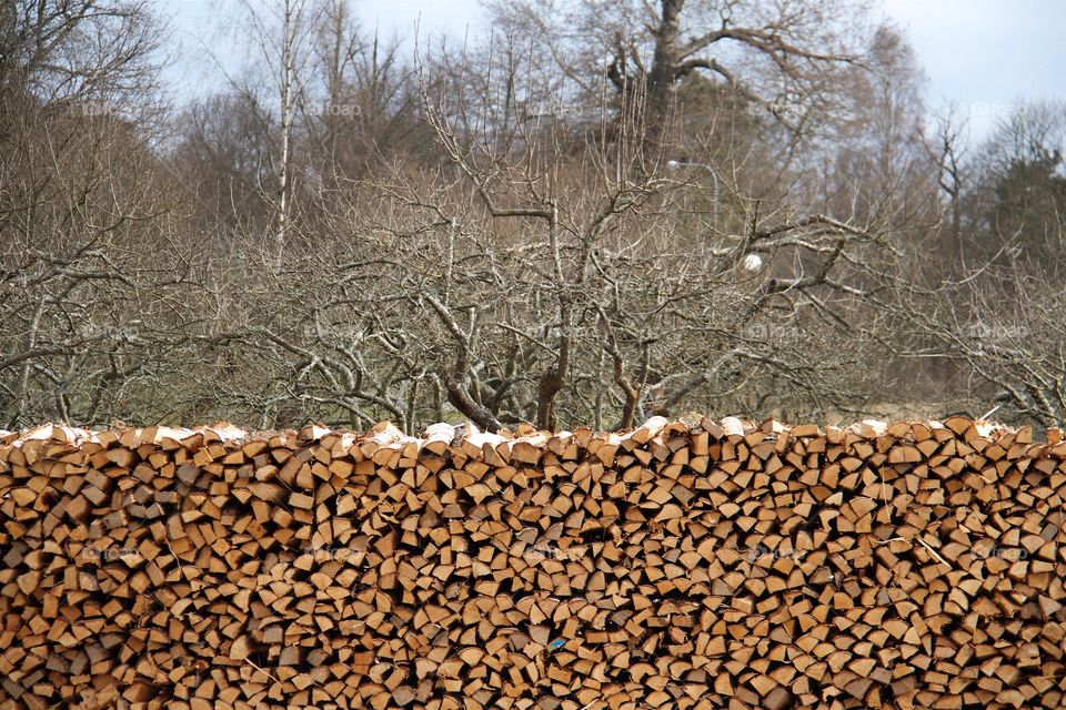 Firewood on drying 
