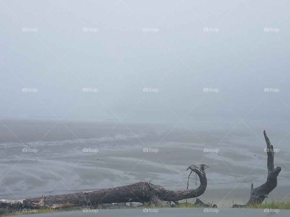 foggy morning view on the beach