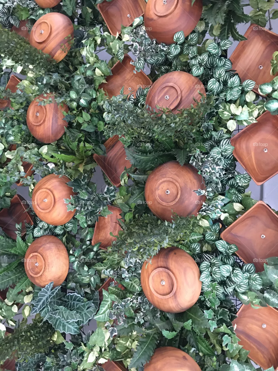 Pots and plants