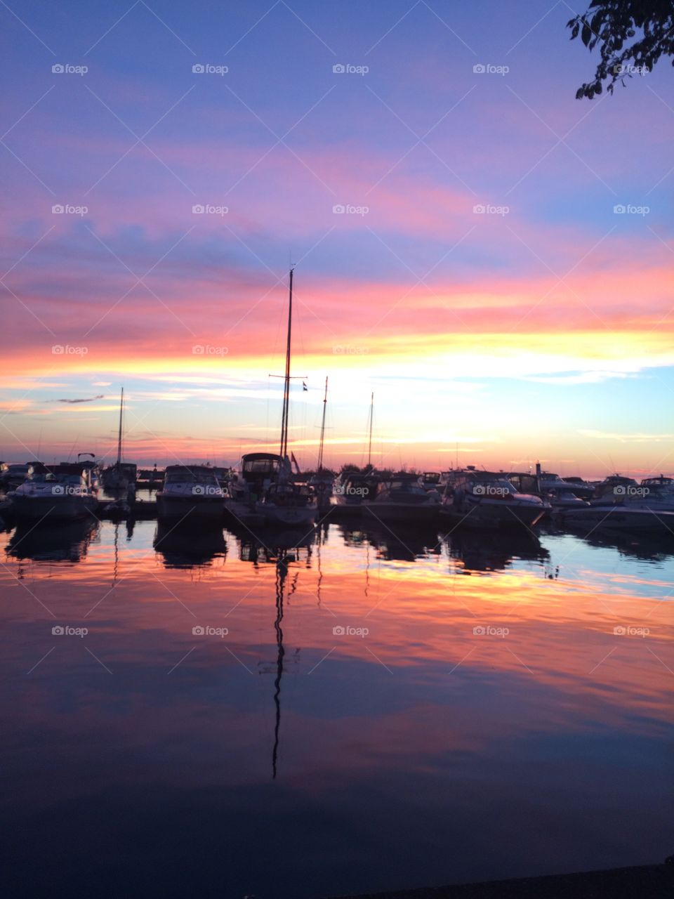 Marina sunset 