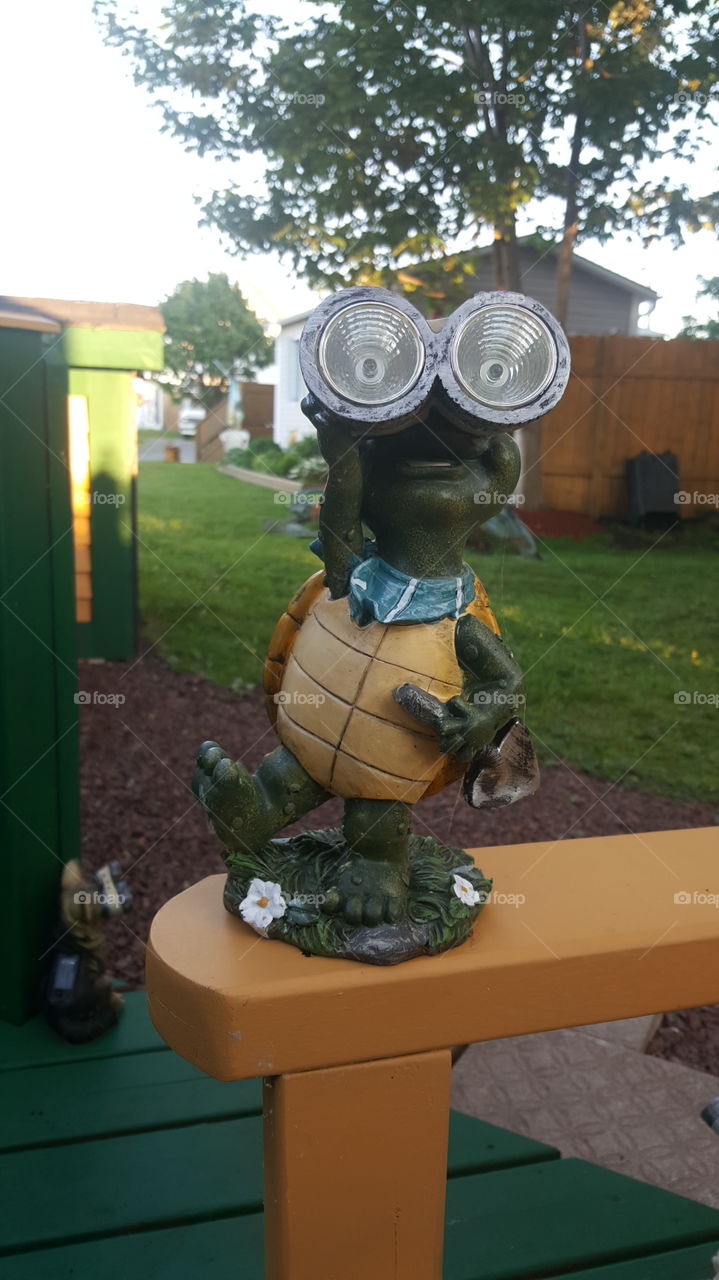 Mr. Turtle solar light