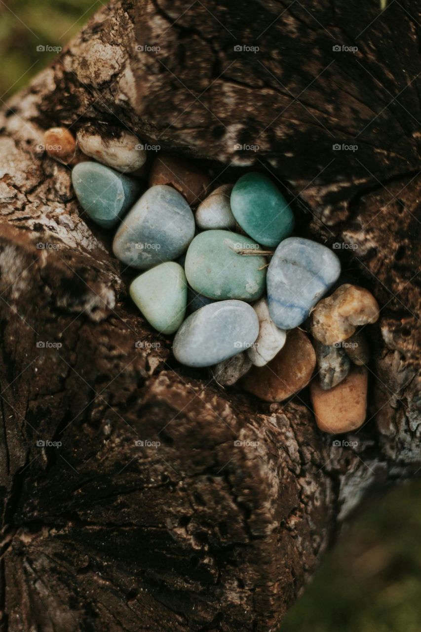 et.... Indian🇮🇳