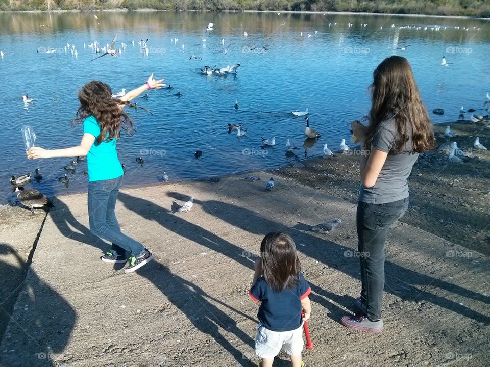 feeding the ducks