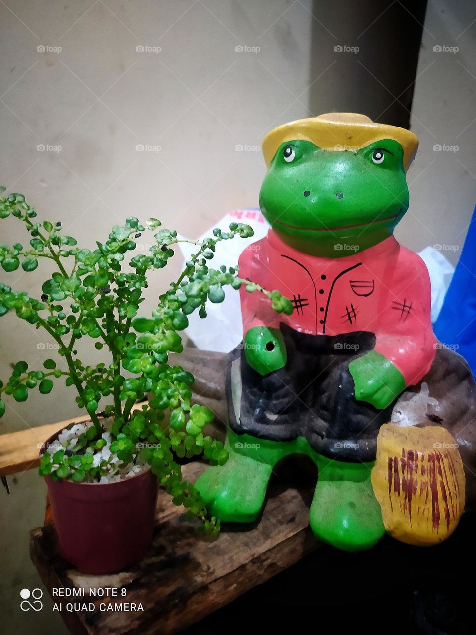 moldura em forma de sapo pescando, feito com gesso , também uma mini árvore Natura l pra enfeitar o ambiente