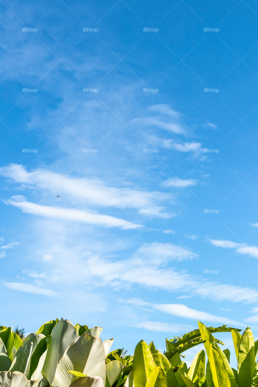 Sky background. Bali island, Indonesia.