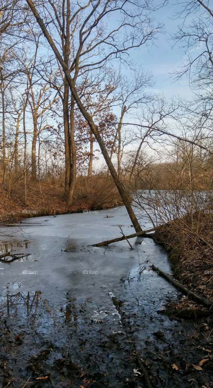 frozen evergreen lake