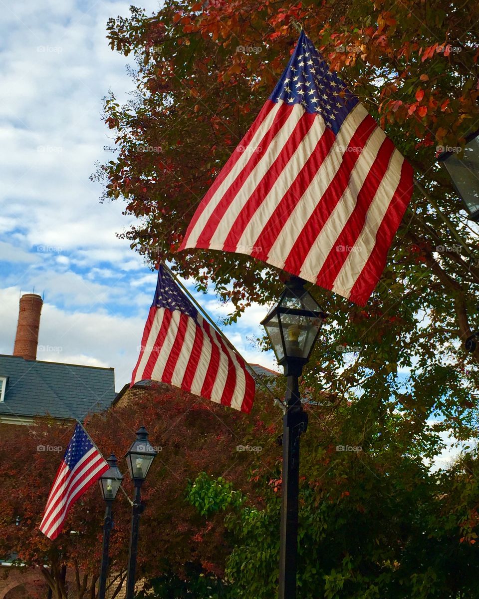 Stars and Stripes 