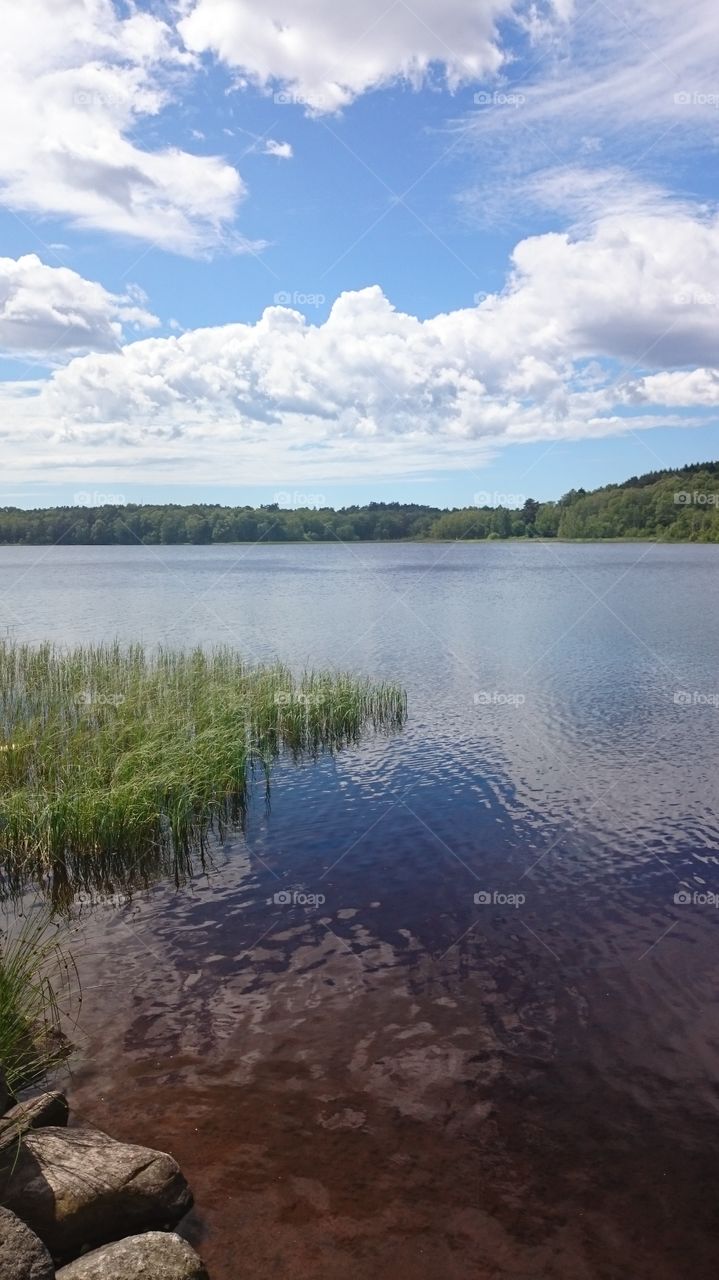 a lake In Sweden. a lake in Sweden