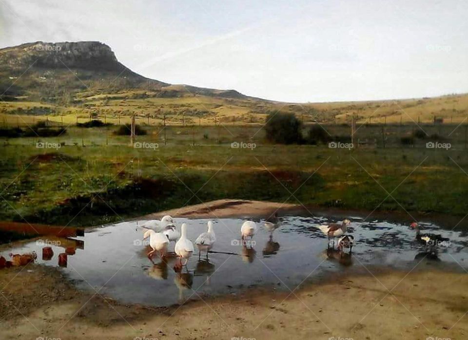 beautifull landscape