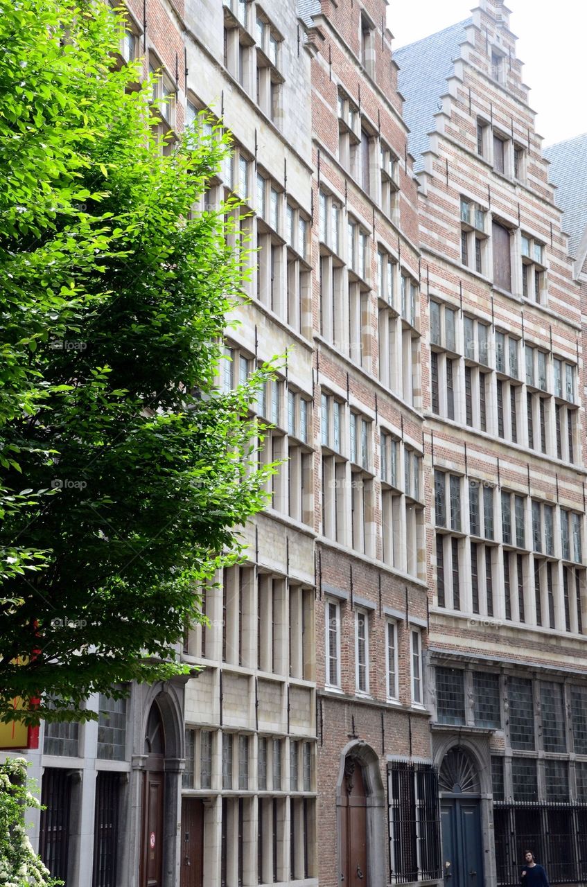 Cityscape in Antwerp