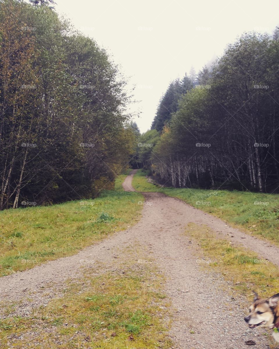 The View At The Top Only Looks Like Heaven Cause The Trek Was Hell.