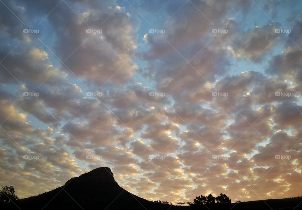 Lion's Head silhouette