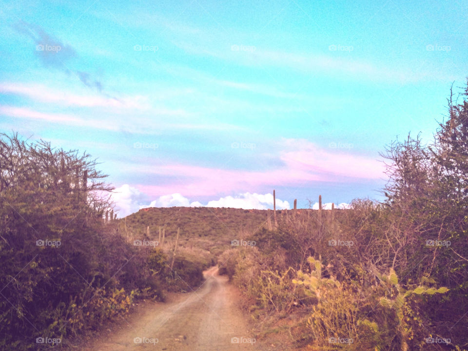 breathtaking color effect in the sky