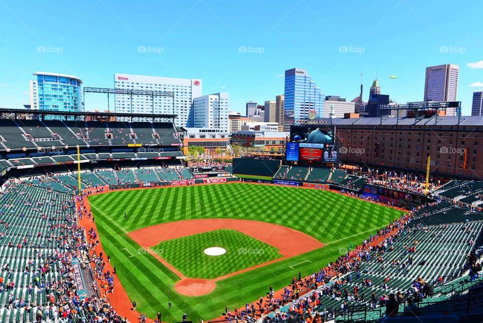Camden Yards. The majestic stadium, Camden Yards, located in Baltimore Maryland is home to the MLB's Baltimore Orioles