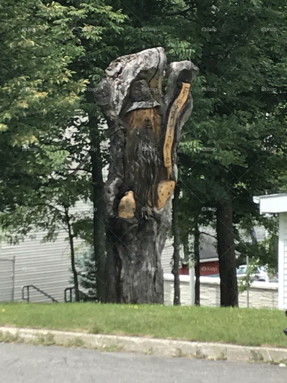 Tree with carvings