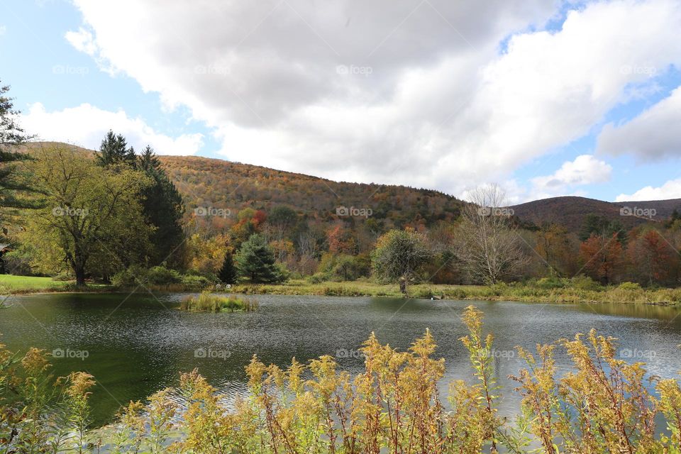 Fall in the countryside 