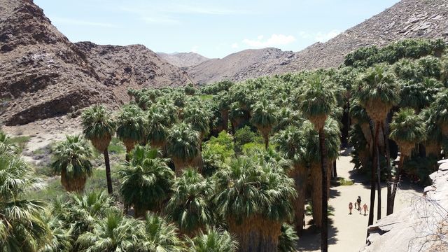 Palm Springs hike
