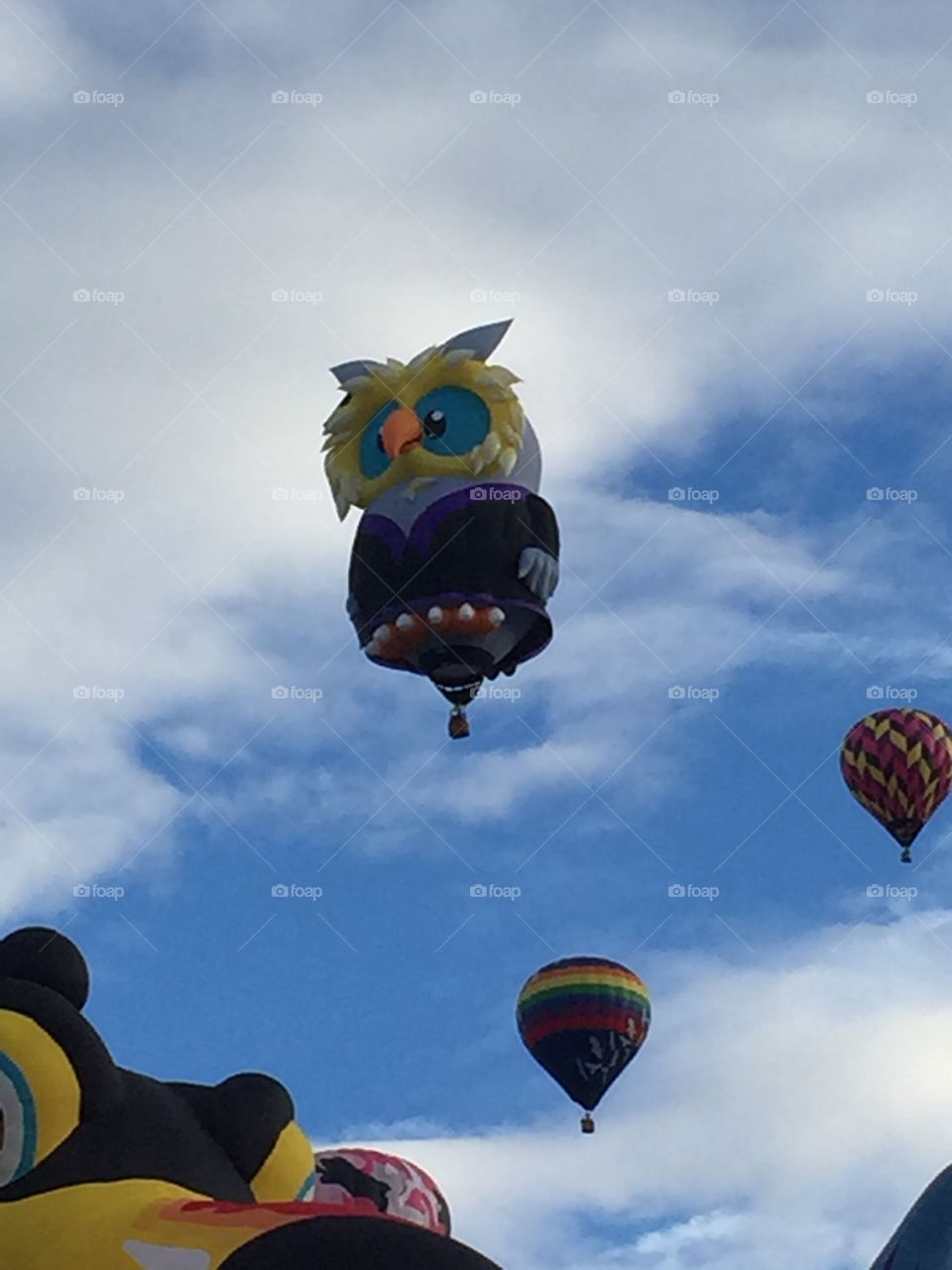 Owl Hot Air Balloon. 2015 Albuquerque International Balloon Fiesta.  Special Shapes Rodeo. 