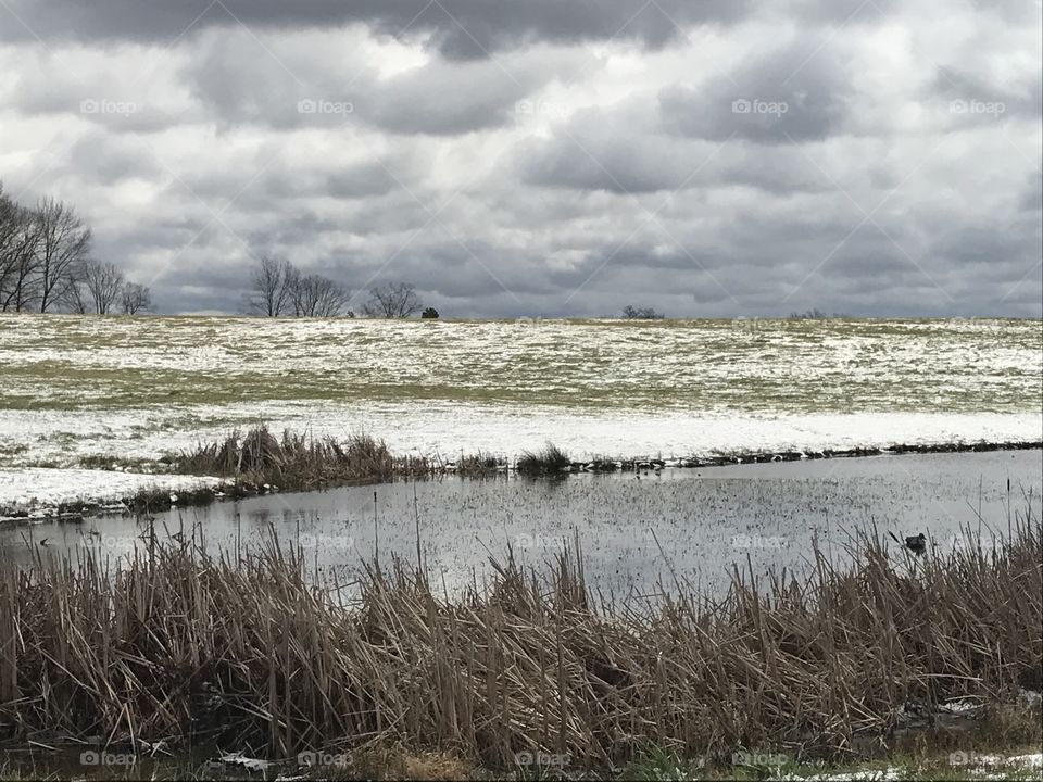 Snow around Pond