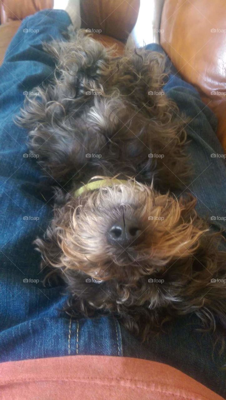 The art of meditation