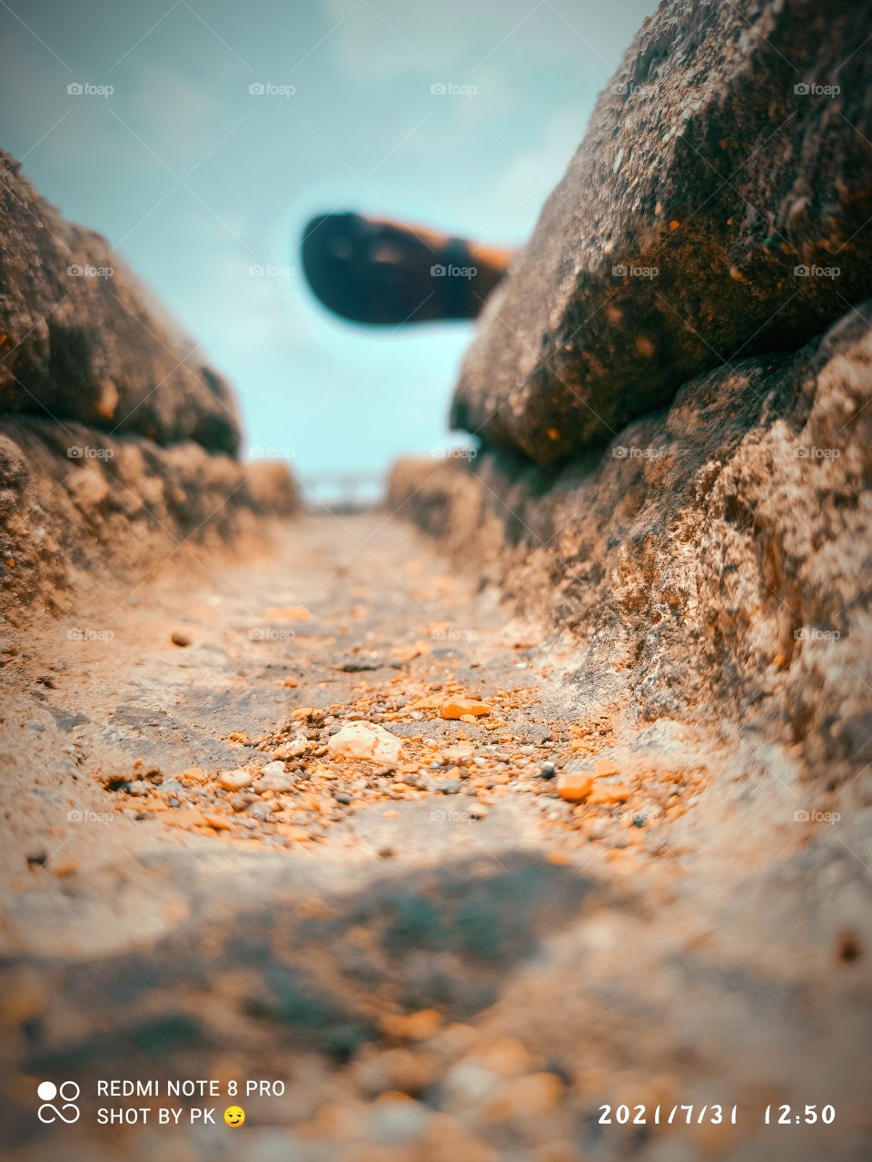 alone is best choice