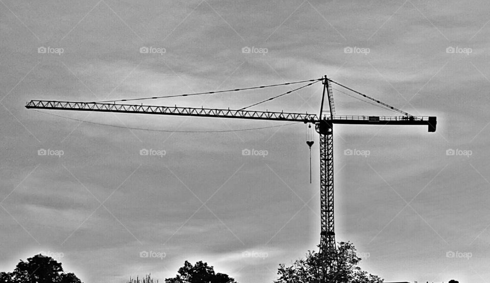 crane