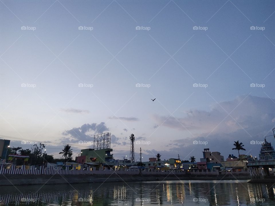 your local treasures