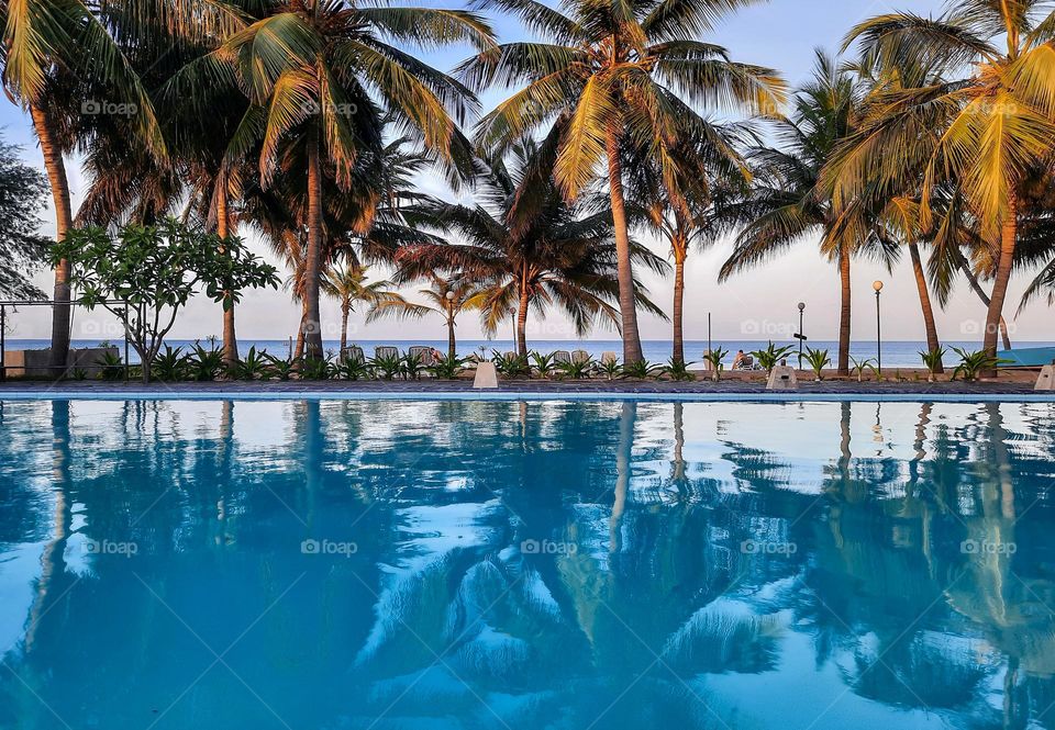 Summer getaway to the tropical island paradise Sri Lanka. Perfect weather to head to the beach and good times at pool with gorgeous blue water and fantastic weather.