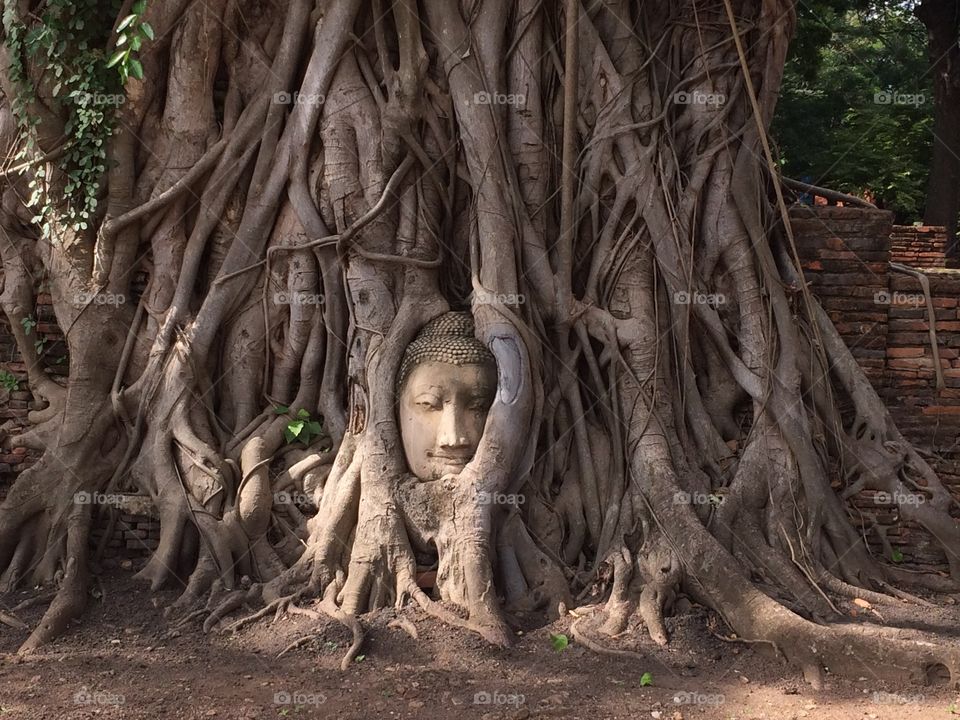 ayutthaya ruins Buddha 