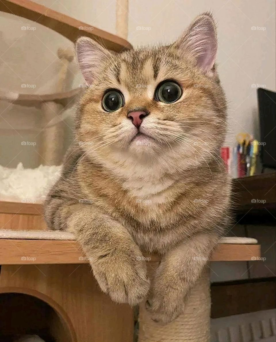 A very beautiful picture, and there is no better picture than it. There is no better picture of green herbs and colorful, red and white roses than it. Glory be to God, the natural and picturesque view, and there is no more