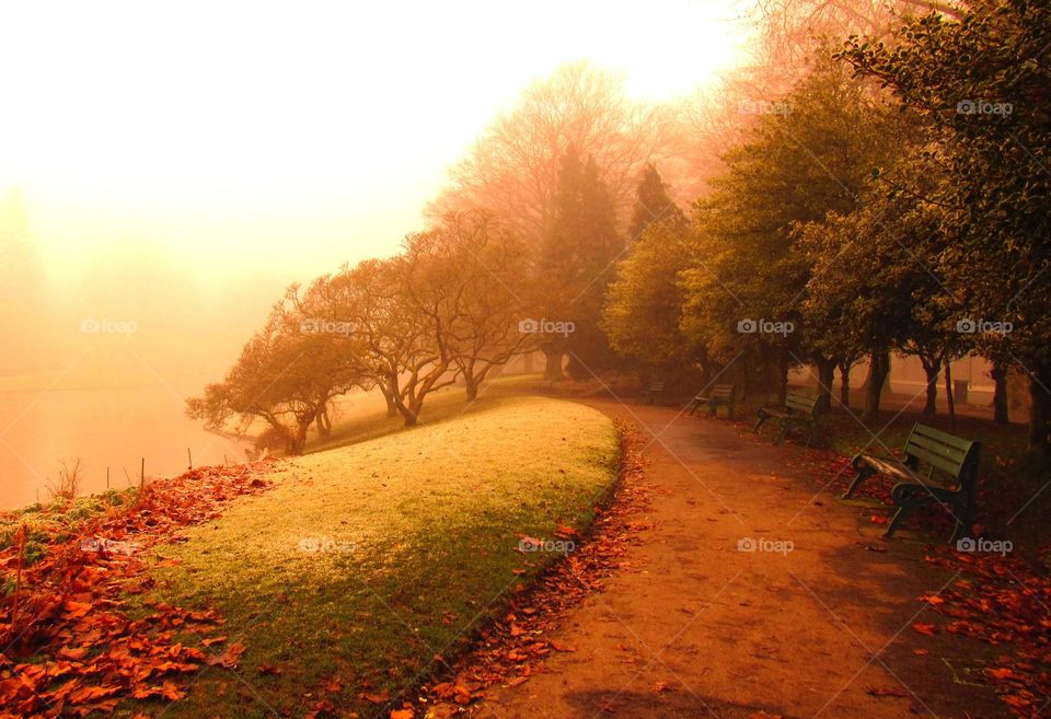 on a cold and frosty day