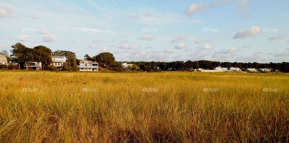 Cape cod sand dunes 