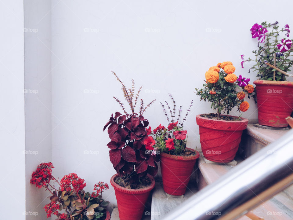 The glorious mother nature.