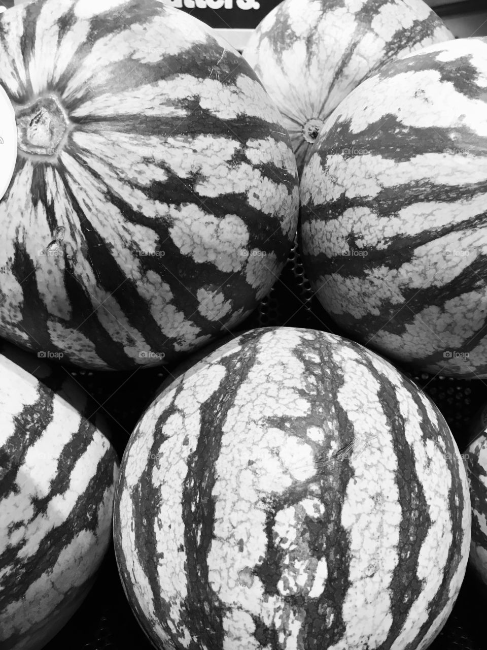 Watermelons in black & white 