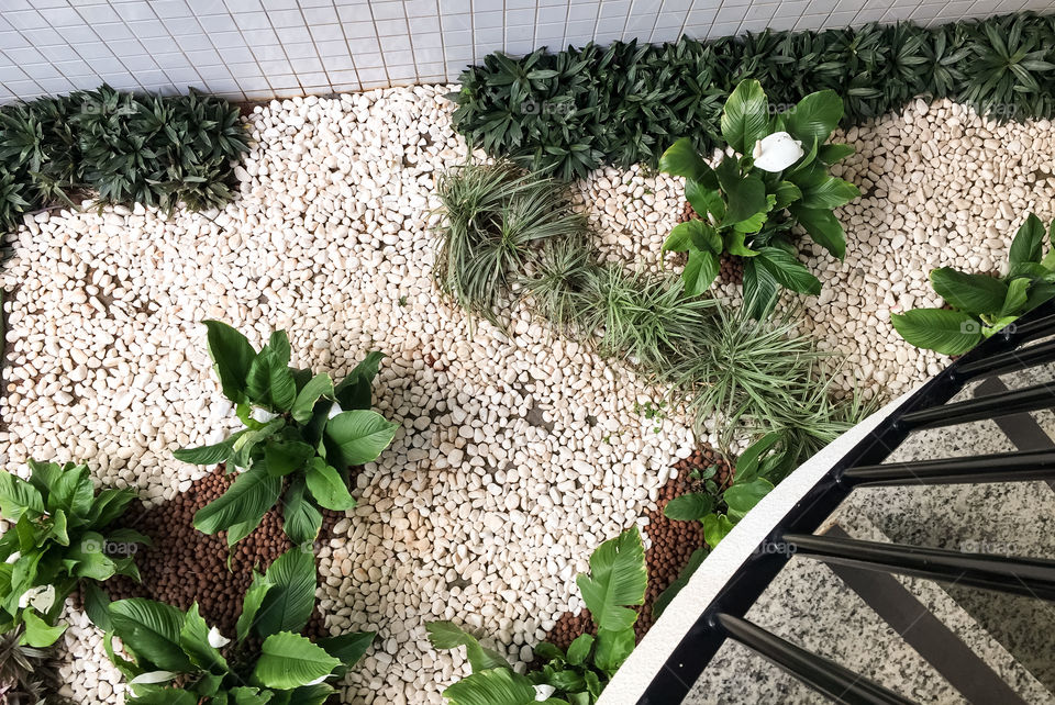 Internal garden with decorative stones and Peace Lily.