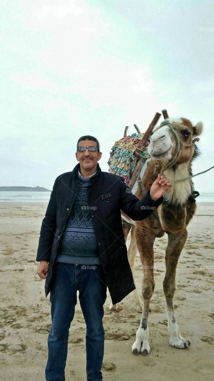 I'm alone with my beautiful Camel near the beach.